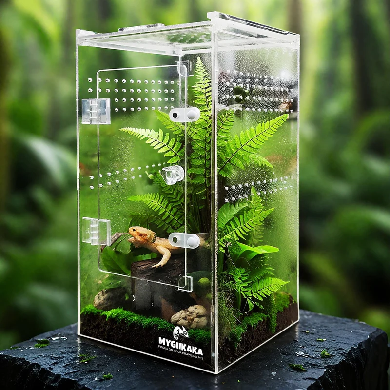 MYGIIKAKA Enclos arachnides et insectes 6x6x12 – Terrarium transparent et portes magnétiques