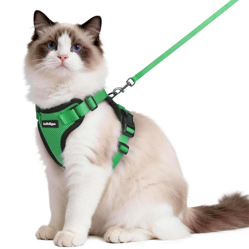 Rabbitgoo Harnais et Laisse pour Chat — Confort Respirant, Anti-Fuite, Réfléchissant, Vert Herbe, Taille M