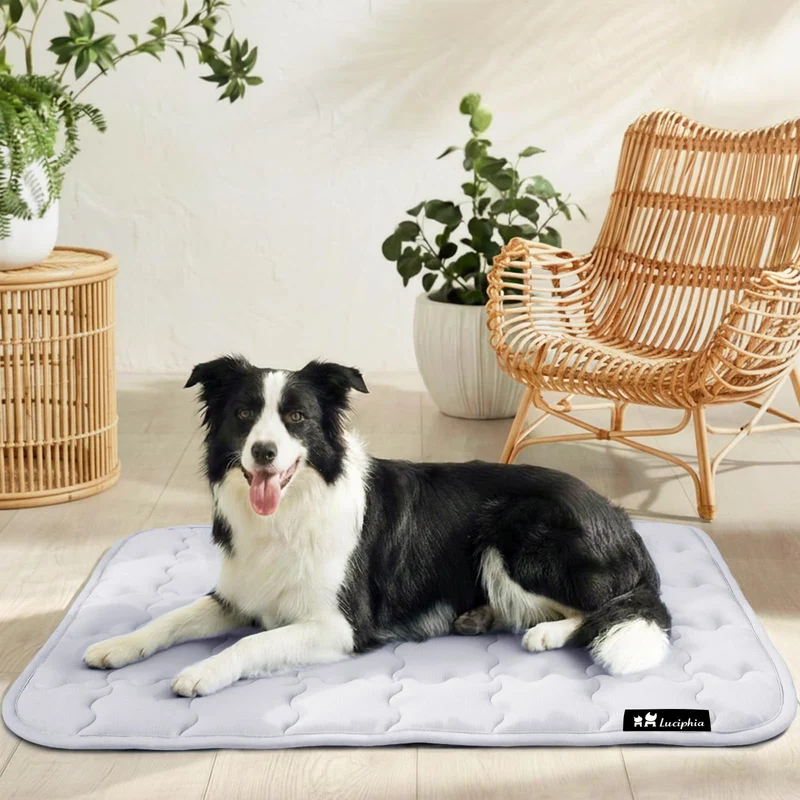 Luciphia Tapis Refroidissant pour Chiens 20x30 – Anti-Dérapant, Lavable en Machine, Q-Max 0,5+