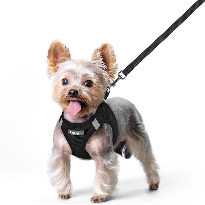 Rabbitgoo Harnais Petit Chien XS et Laisse – Enfiler par les Pattes, Mesh Respirant, Réfléchi