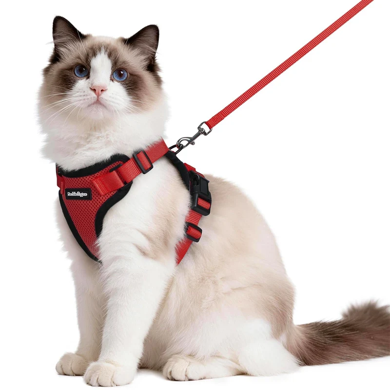 rabbitgoo Harnais et Laisse pour Chat – Anti-Fuite, Confort Mesh Respirant, Bandes Réfléchissantes, Rouge, Taille M