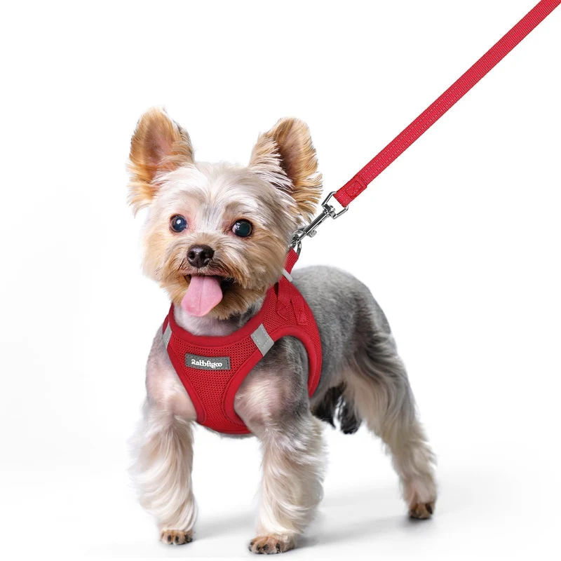 rabbitgoo Harnais pour chien XS avec longe – Enfilage facile, maille respirante et bandes réfléchissantes – Rouge
