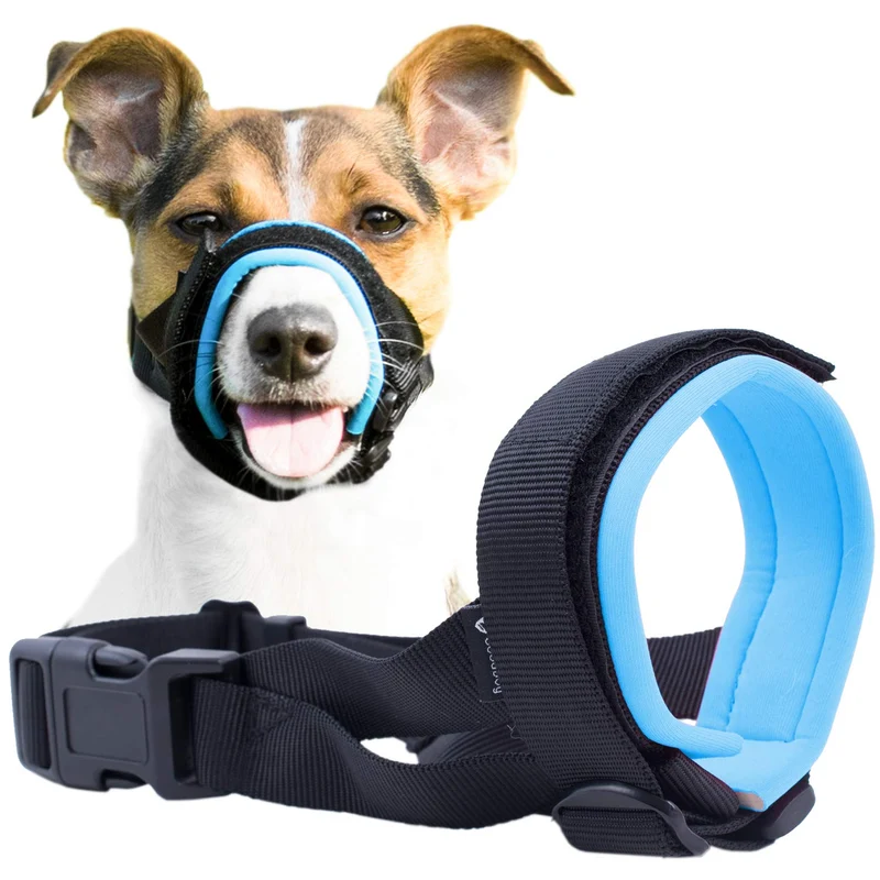 GoodBoy – Museau Doux pour Chiens (M, Bleu) – Prévention des morsures et du mâchage – Confort Néoprène et Ajustement fiable