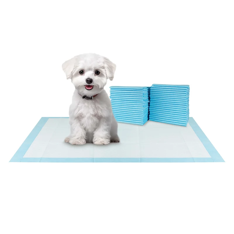 BV Tapis Chiots 100 Pièces 17x24 – Anti-fuite, Absorbant, 6 Couches, Attractant Intégré