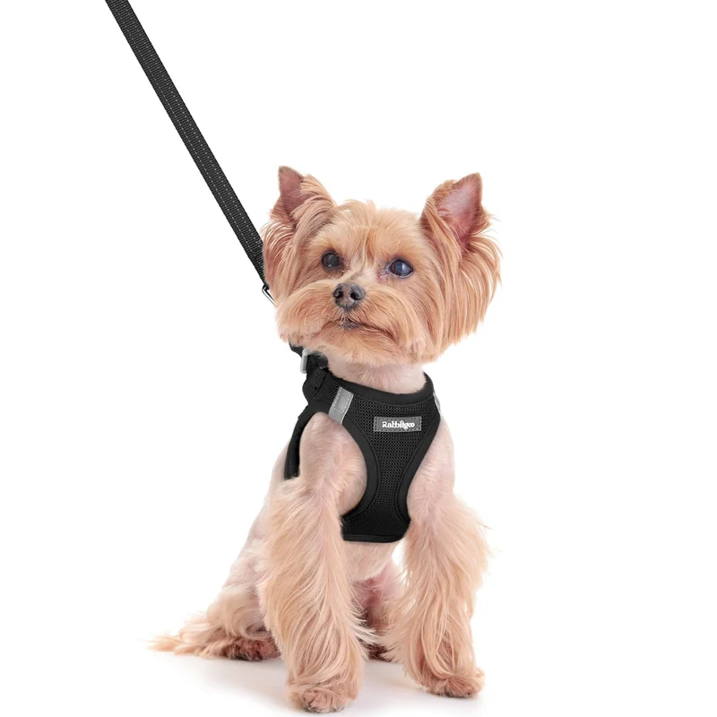 rabbitgoo Harnais pour chien XXS à enfiler avec longe – Mesh respirant, bandes réfléchissantes, sécurité – Noir