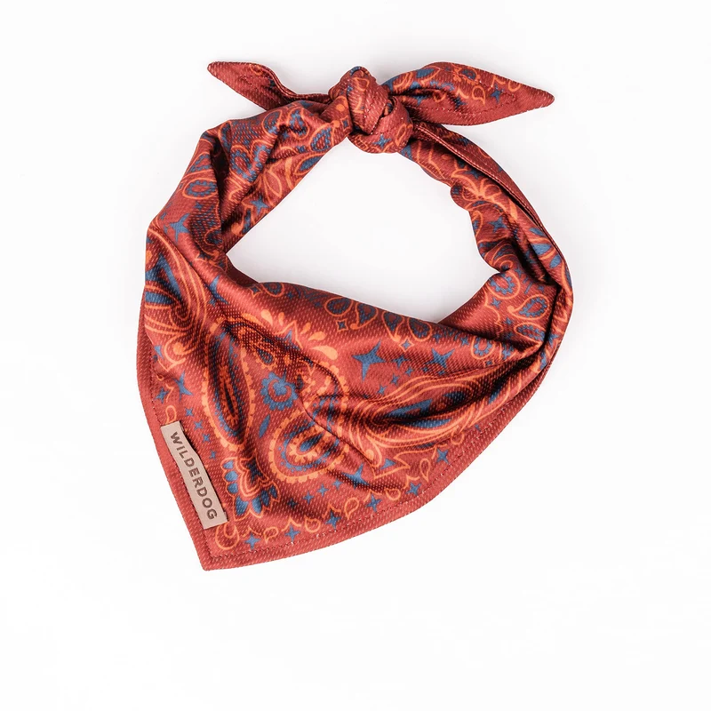 Bandana Wilderdog pour chien – Mesh léger et séchage rapide (Rodeo)