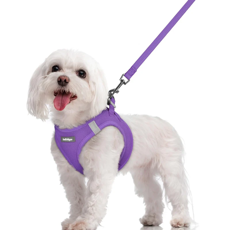 Rabbitgoo Harnais pour Chien Petit – À Enfiler, Mesh Respirant, Laisse Réfléchissante, Violet