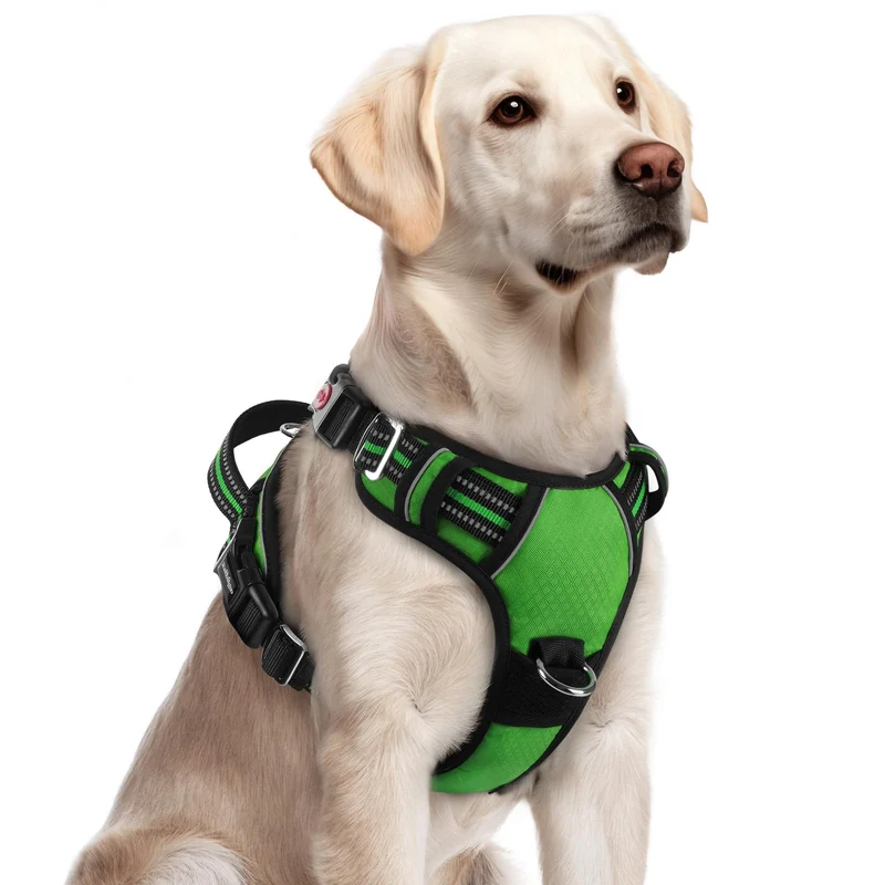 rabbitgoo Harnais pour chien grand – sans tirage, 3 boucles, poignée et bandes réfléchissantes – vert, Taille L