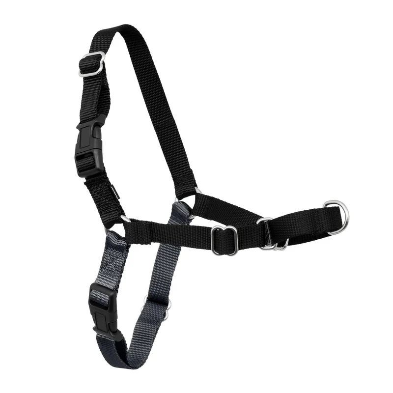 PetSafe Easy Walk Harnais pour Chiens – Pas de Traction, Attache Devant et Boucle Martingale – Charbon/Noir