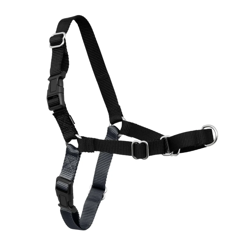 PetSafe Easy Walk Harnais pour Chiens – Balades sans Tirage, Attache Devant, Martingale Frontale – Confort Respirant, Taille X-Large Charbon/Noir