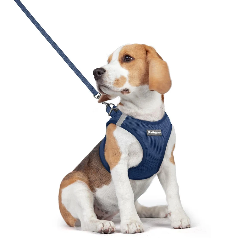 rabbitgoo Harnais à enfiler pour chien – léger, maille respirante et bandes réfléchissantes, bleu marine, Taille L