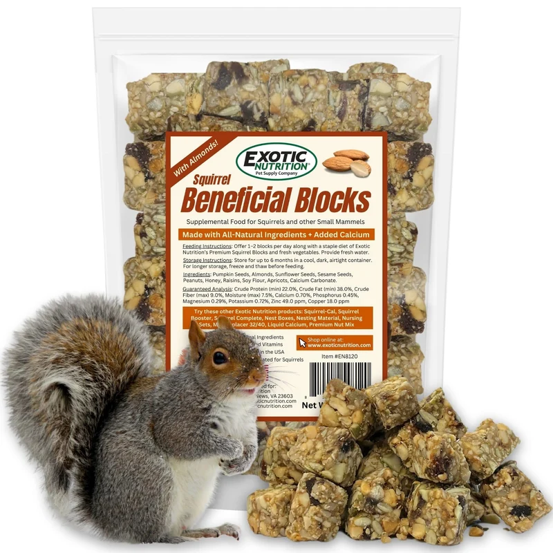 Bloc Bienfaits pour Écureuil Exotic Nutrition – Aliments Supplémentaires à base de Noix et Graines, 10 oz