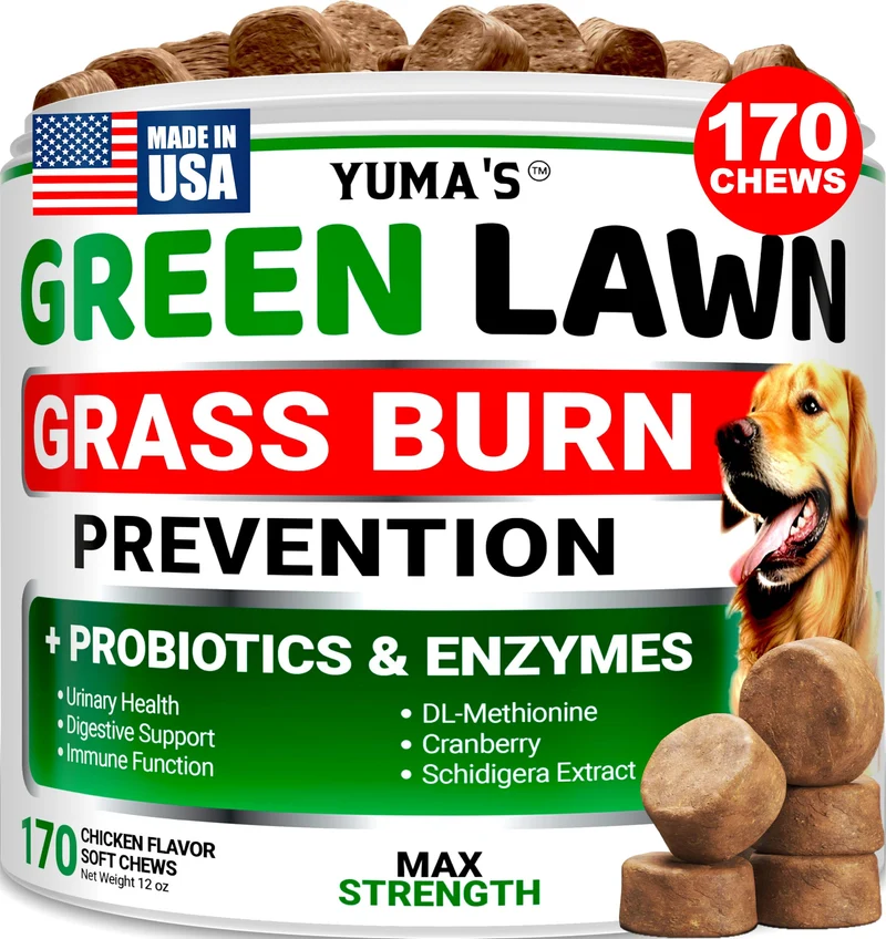 YUMA'S Neutraliseur Urinaire pour Pelouse — 170 Friandises Vertes avec Probiotiques et Enzymes Digestives