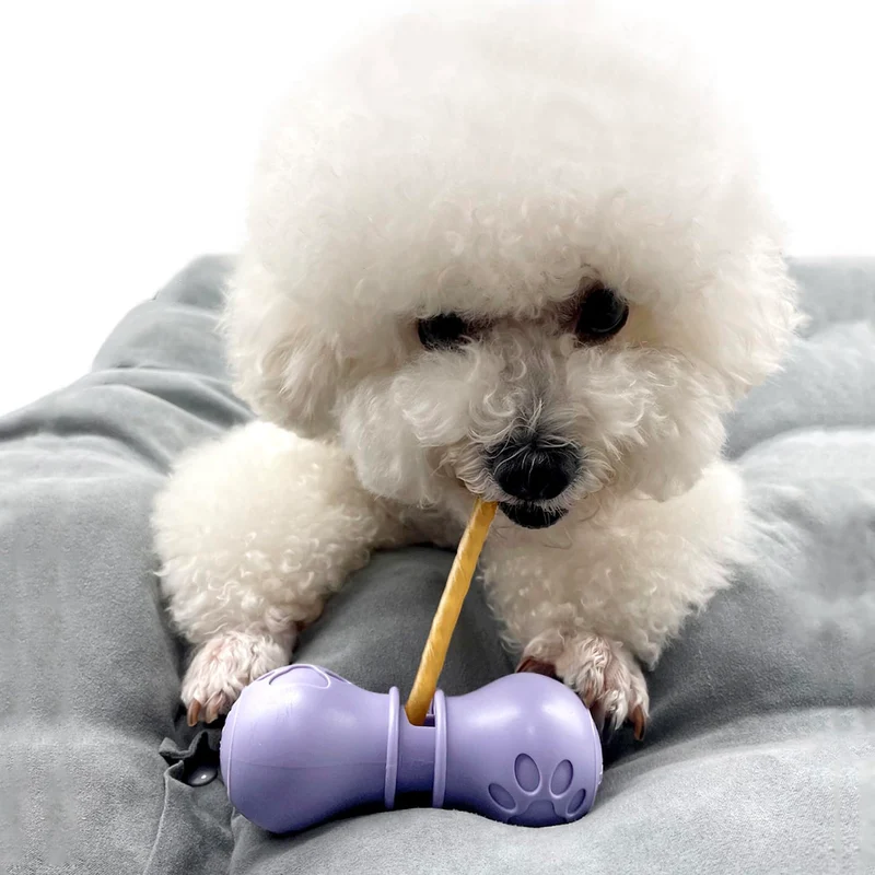BoniVet Porte-Bâton pour Chiens — Accessoire de Mastication Violet, Petite Taille