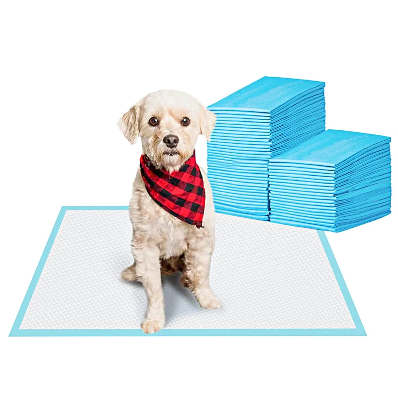BESTLE Tapis d’apprentissage pour chiens 22x22 — Absorbant et Étanche
