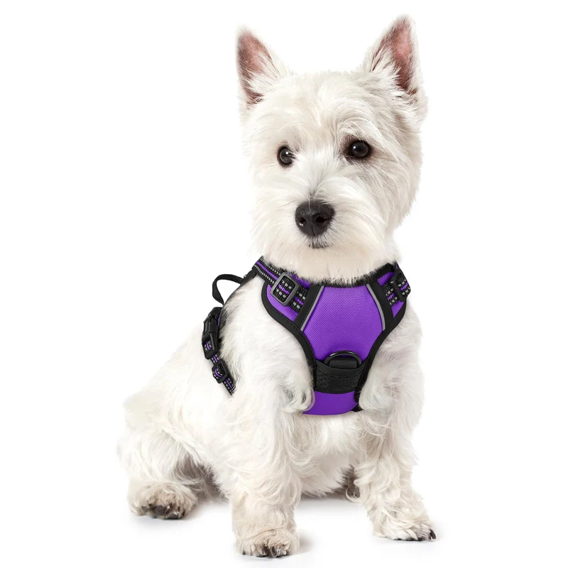 Rabbitgoo Harnais Chien No-Pull avec 2 Attaches, Doux et Réfléchissant – Violet XS