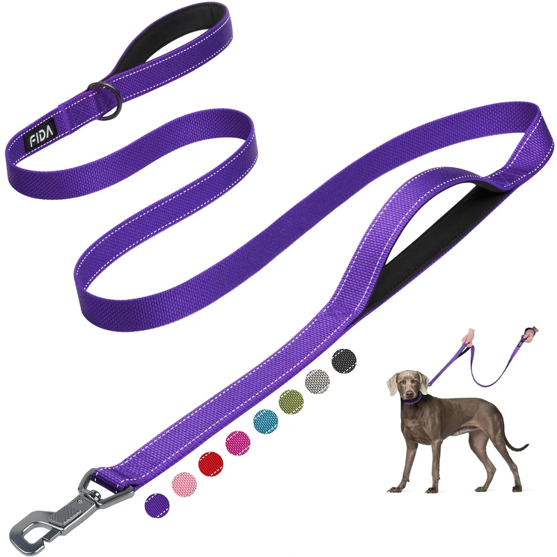 Fida Longe Chien 6 Pieds – Double Poignées Rembourrées, Crochet Rapide et Réfléchissante (Violet)