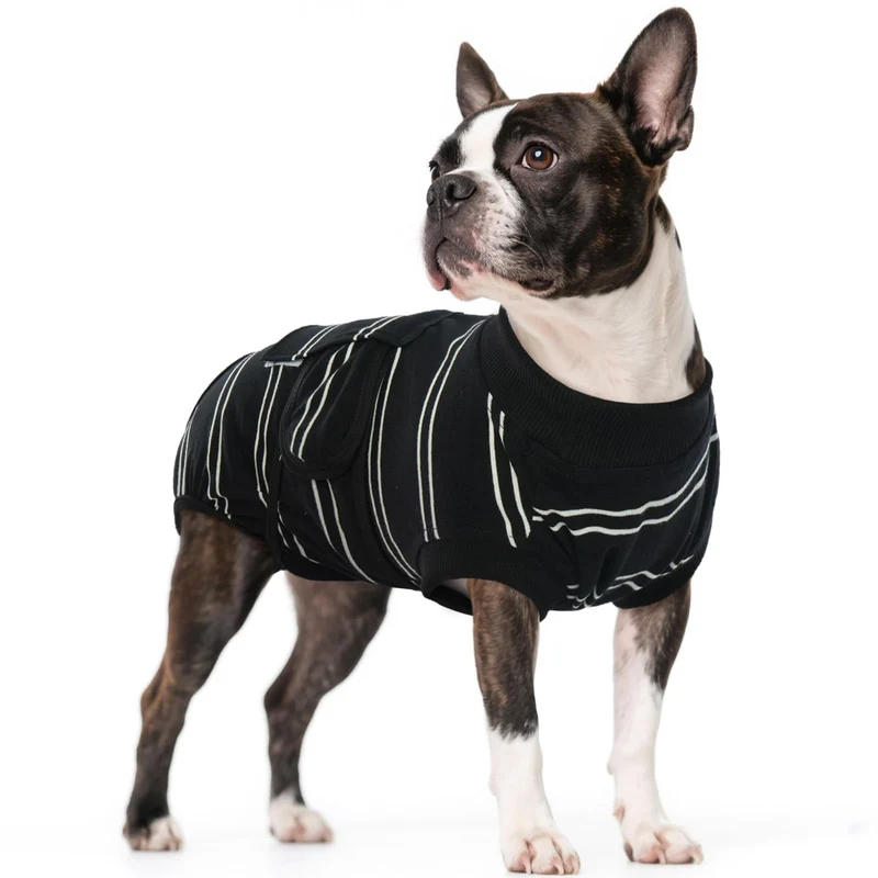 Kuoser Vêtement récupération chien – Combinaison post-chirurgie respirante et anti-léchage (noir rayé)
