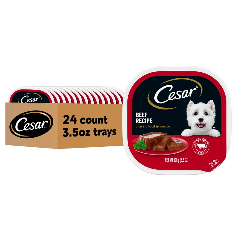 CESAR Classic Loaf en Sauce – Boeuf pour Chien Adulte, Plateaux 3,5 oz, Lot de 24