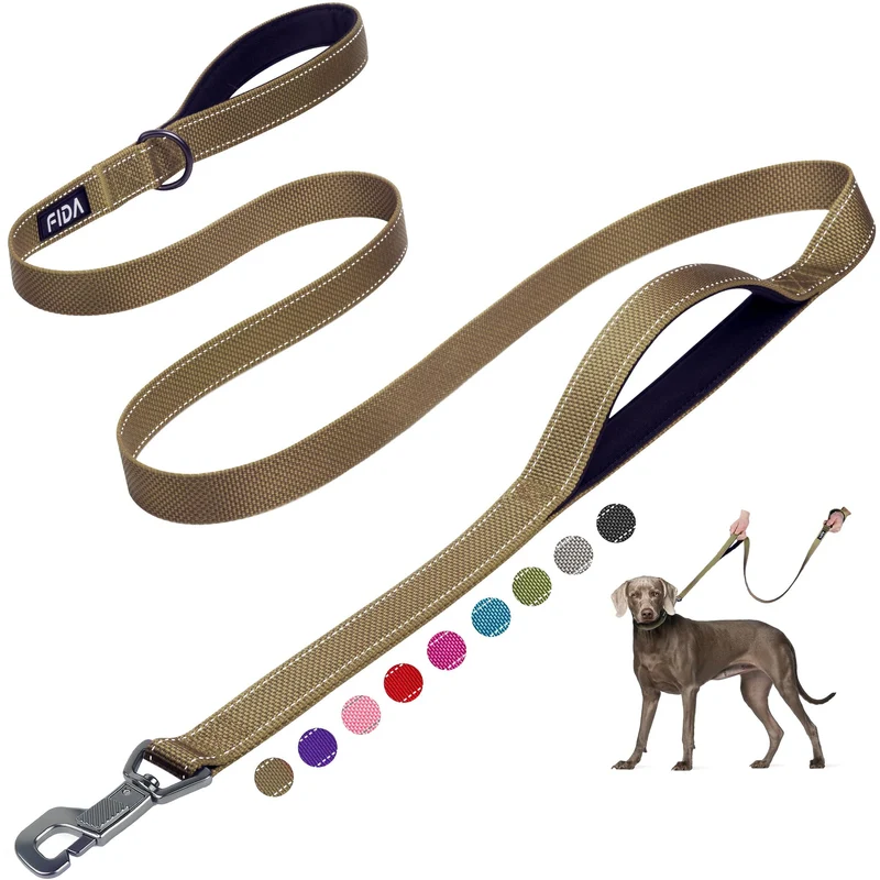 Fida Laisse pour Chien 6 ft – Double Poignées Rembourrées, Attache Rapide et Réfléchissante