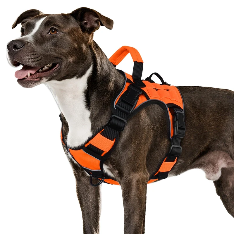 WINGOIN Harnais Canin Moyen Orange – Sans Tiraillage, Militaire et Réfléchissant avec Poignée (M)