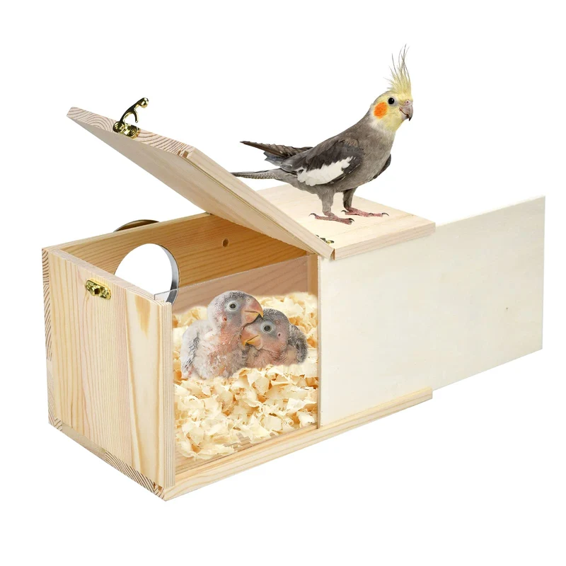 CooShou Boîte Nid Pour Perroquets – Pin Naturel, Verre Transparent, Planche Détachable (pour cacatoès, inséparables, perruche ondulée et conures)