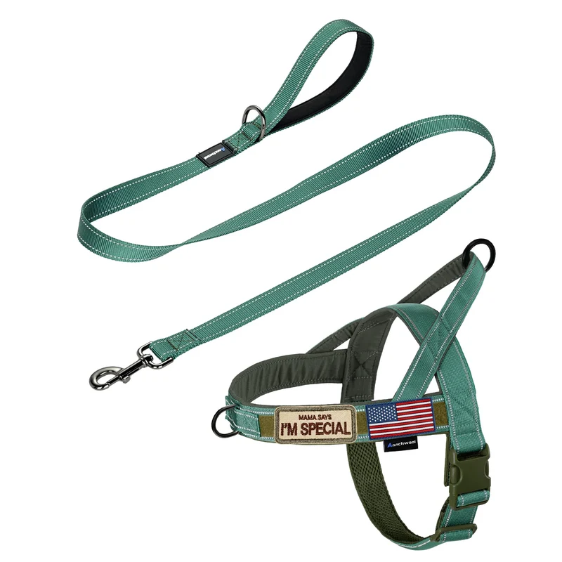 Annchwool Harnais anti-tir avec poignée rembourrée + longe 5 ft, bandes réfléchissantes, ajustement rapide – pour chiens (Vert-Set, L)