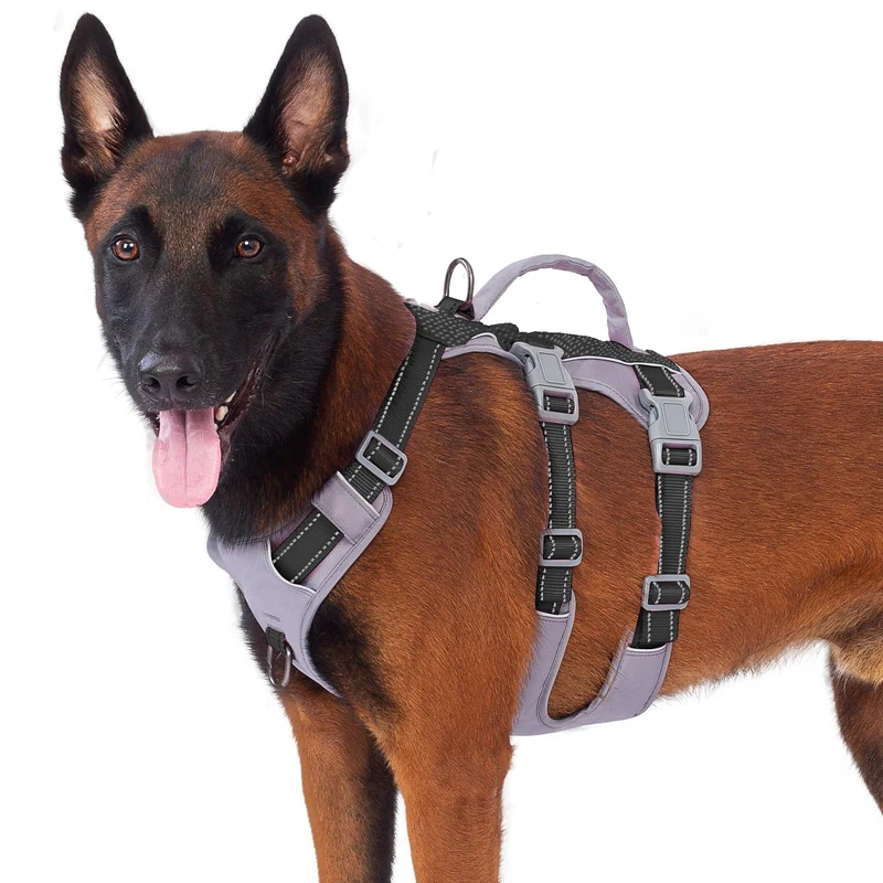 Huntboo Harnais pour Chien Réfléchissant avec Poignée — Anti‑Évasion, Respirant, Léger et Réglable