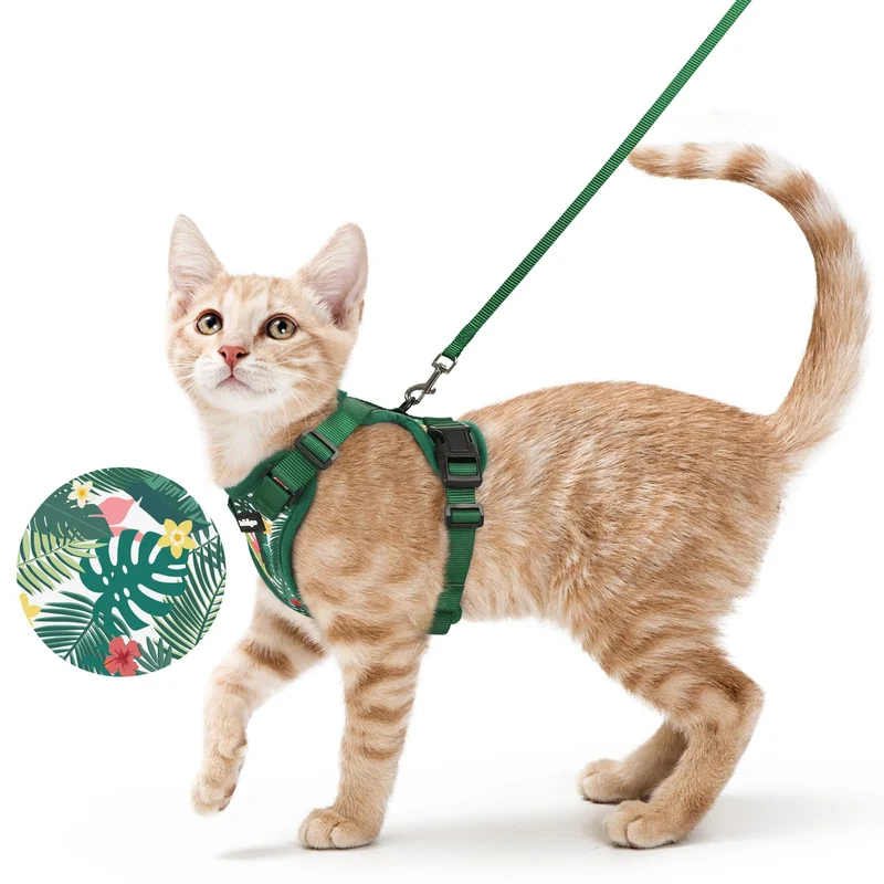 Rabbitgoo Harnais et Laisse pour Chat – Anti-Évasion, Confort Respirant, Vert Forêt XS