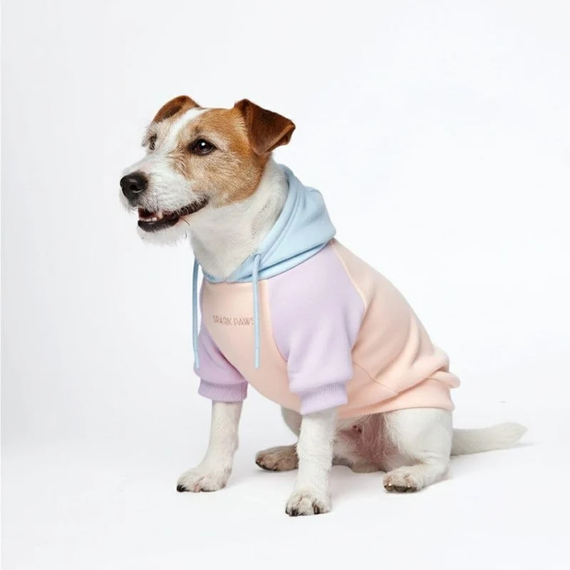 Spark Paws Hoodie Chien – Pull premium pour petites, moyennes et grandes races | Couleur Barbe à Papa, Taille L