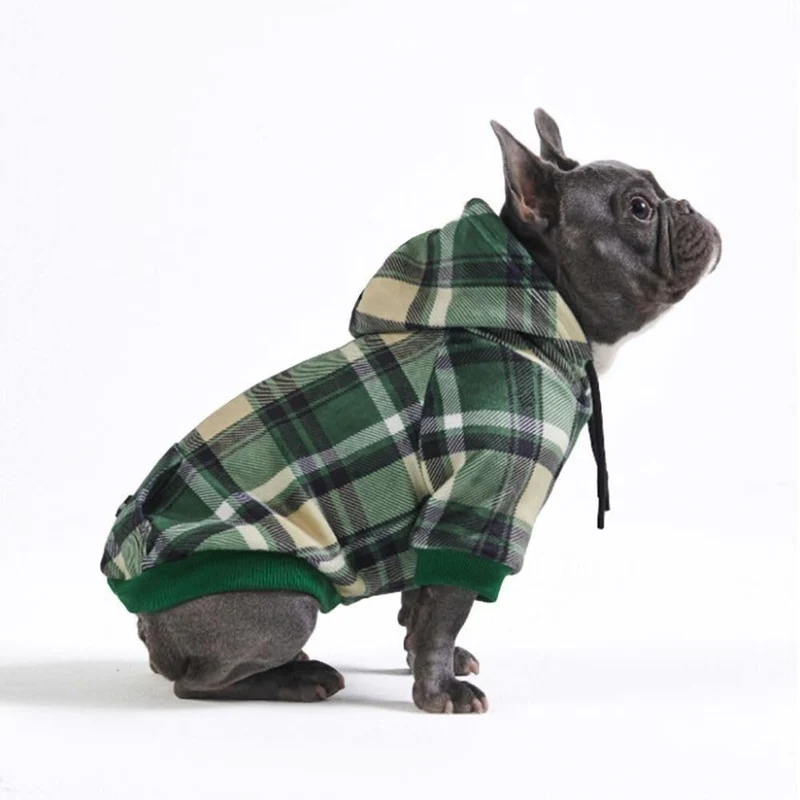 Spark Paws Hoodie Chien – Pull Premium pour Petites, Moyennes et Grandes Tailles | Plaid Vert Chaud – XL