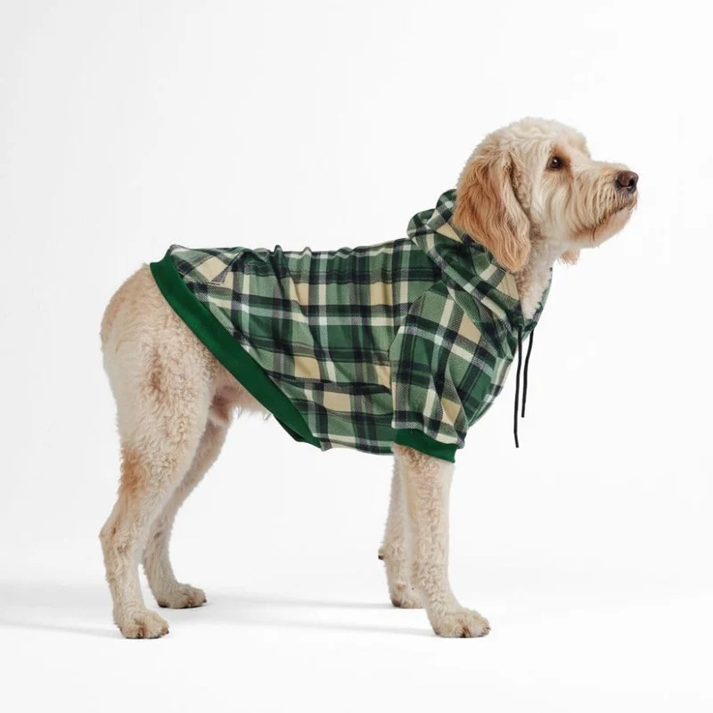 Spark Paws Sweat à Capuche pour Chien – Pull Premium pour Petits, Moyens et Grands | Vert-Carreaux - 2XL
