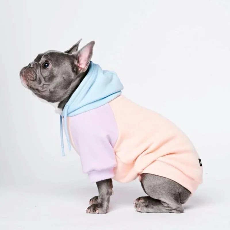 Spark Paws Hoodie Chien – Pullover premium tailles XS à XL | Couleur Cotton Candy