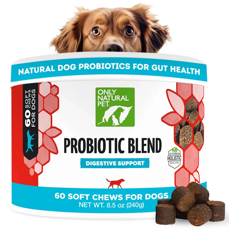 Only Natural Pet Probiotique pour Chiens et Chats — Friandises Molles Digestives, Santé Intestinale, 60 Friandises