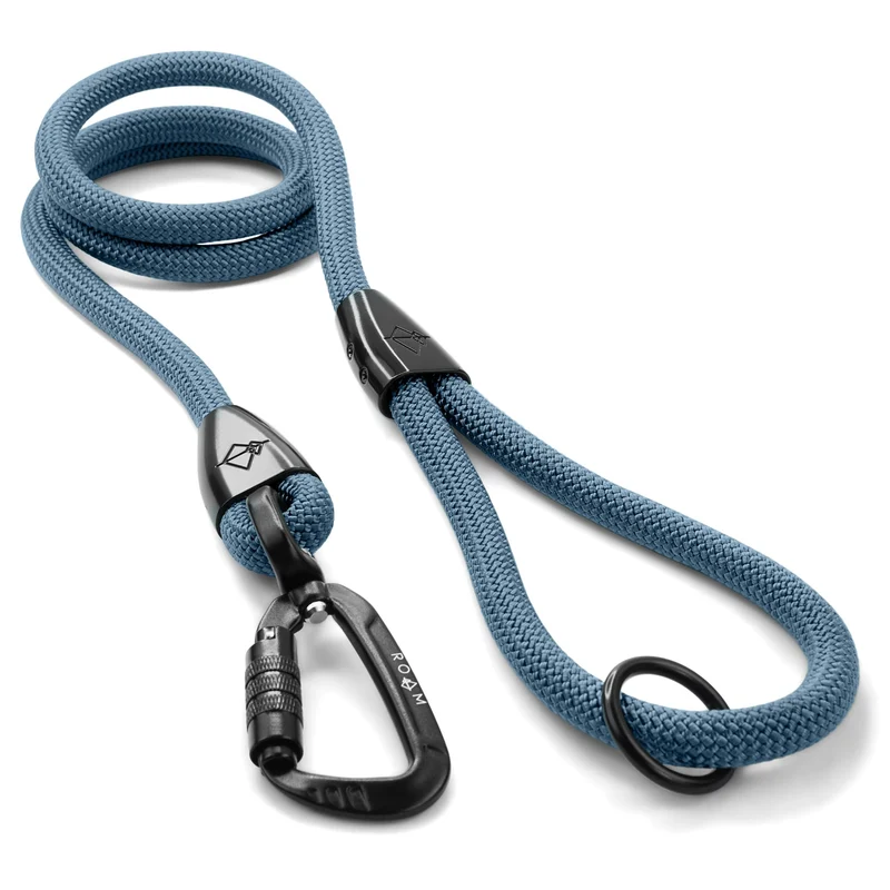 MADE TO ROAM Premium Explorer Leash – Longe d’escalade 6 pieds avec mousqueton autobloquant en aluminium aviation – California Horizon