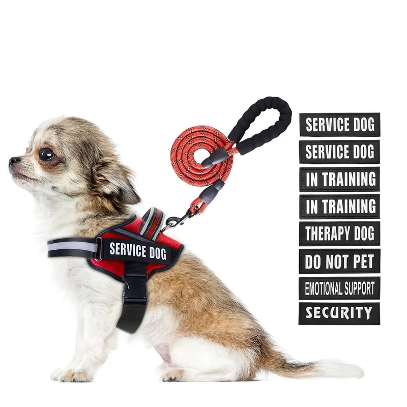 Harnais et Laisse Animire pour Chien en Formation – Patchs, Réflectif, Poignée Douce (RED, XS)
