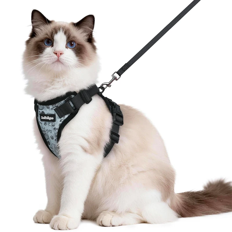 Rabbitgoo Harnais et Laisse pour Chat – Anti-échappement, Confort Respirant, Sangles Ajustables | Gris Doodle, M