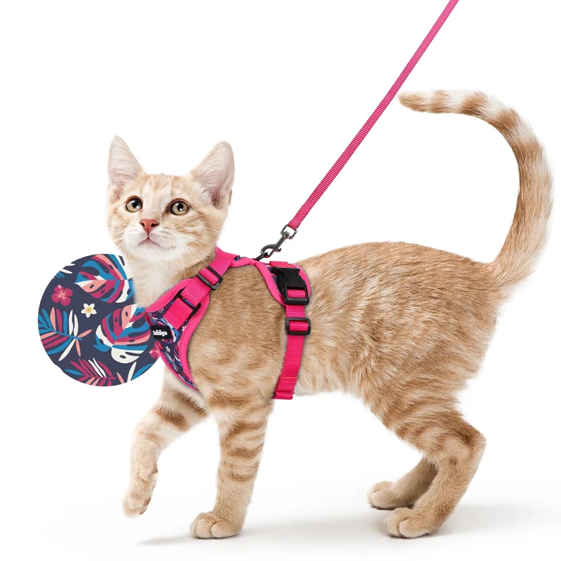 rabbitgoo Harnais et Laisse pour Chat – Anti-Évasion, Confort Respirant et Bandes Réfléchissantes – Couleur Fuchsia Noix de Coco, XS