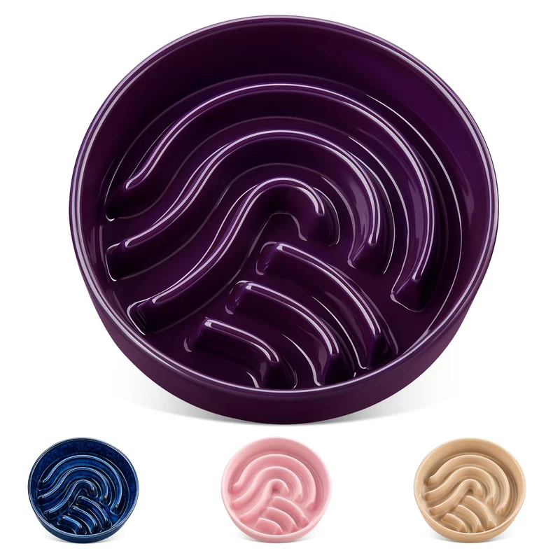 Vancasso Bol Alimentation Lente pour Chiens – Céramique 1,5 Tasses, Labyrinthe, Violet Foncé