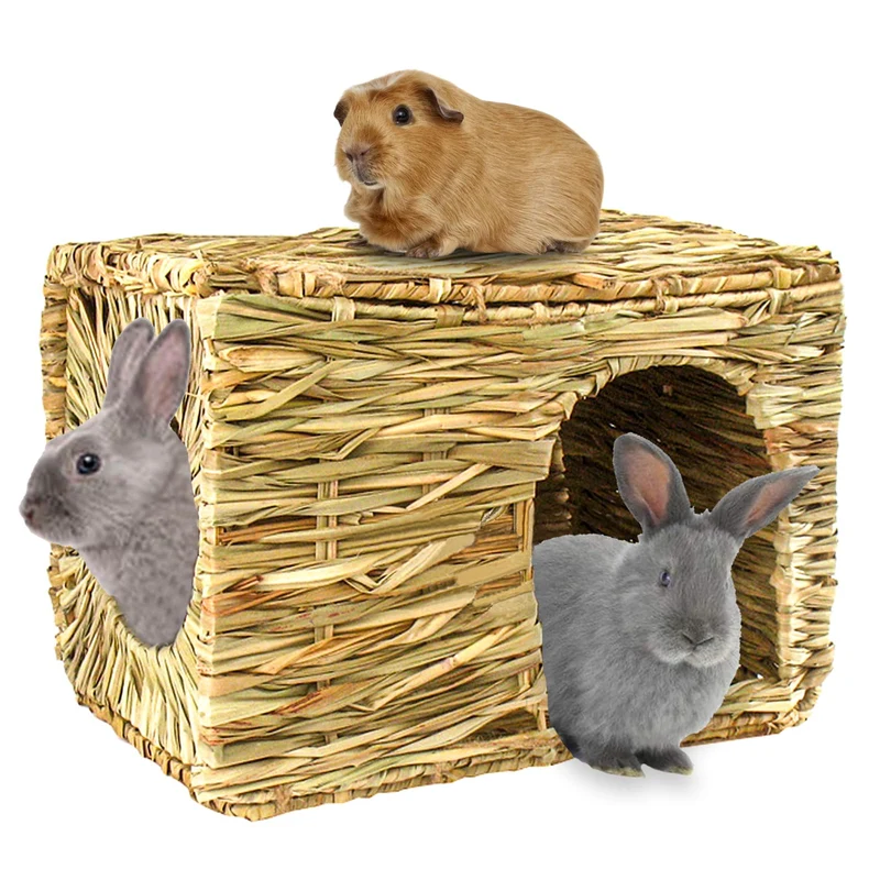 HERCOCCI Niche en herbe grand format pour lapin – Pliable, Confort et Aventure