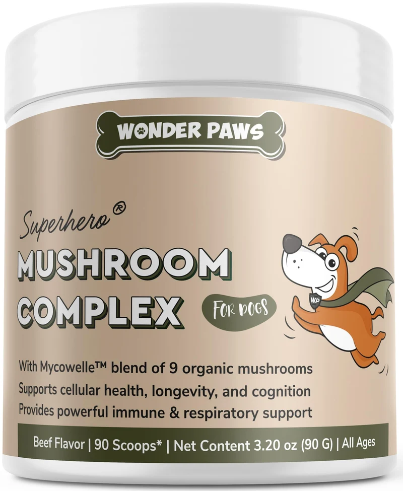 Wonder Paws Poudre Immunité pour Chiens – Mélange Bio de Champignons (90 Mesures) avec Queue-de-dinde, Reishi et Crinière de Lion