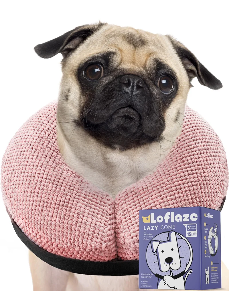 Loflaze Collier Gonflable Doux pour Chiens et Chats – Alternative au Collier Conique après Chirurgie