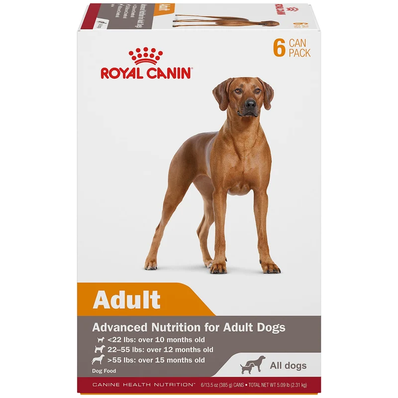 Royal Canin Canine Health Nutrition Adulte en Gel — Nourriture humide pour chien, 13,5 oz (lot de 6)