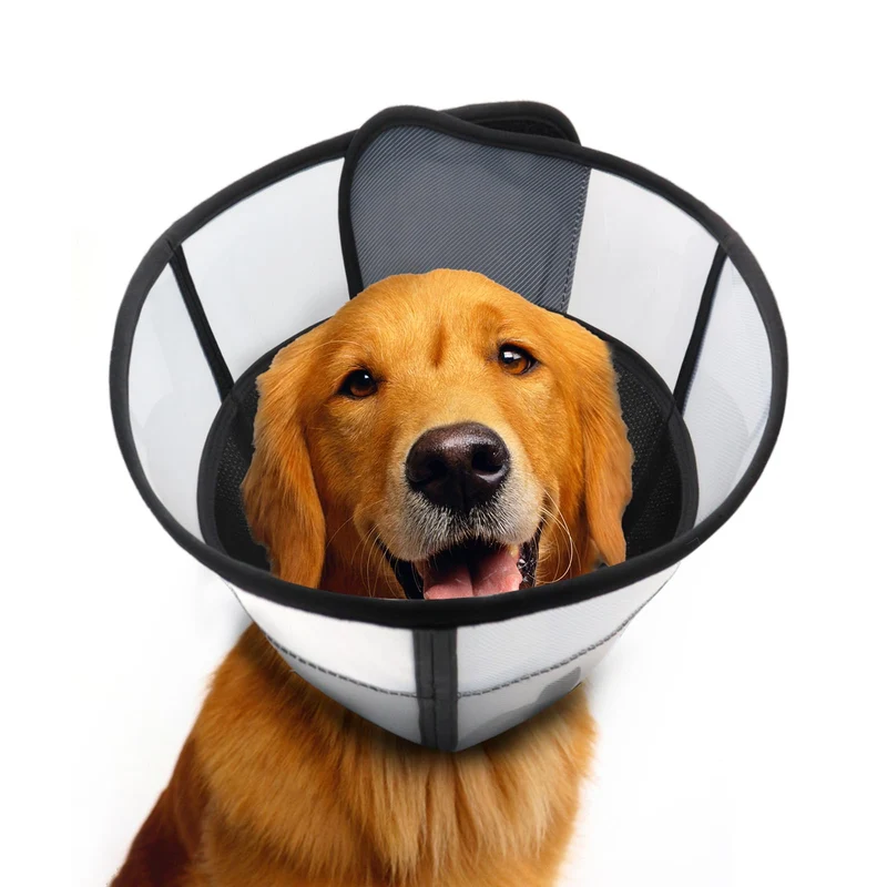 WinWeal Collier-Cone Doux pour Chien après Chirurgie – Transparent et Respirant (Taille S, Noir)