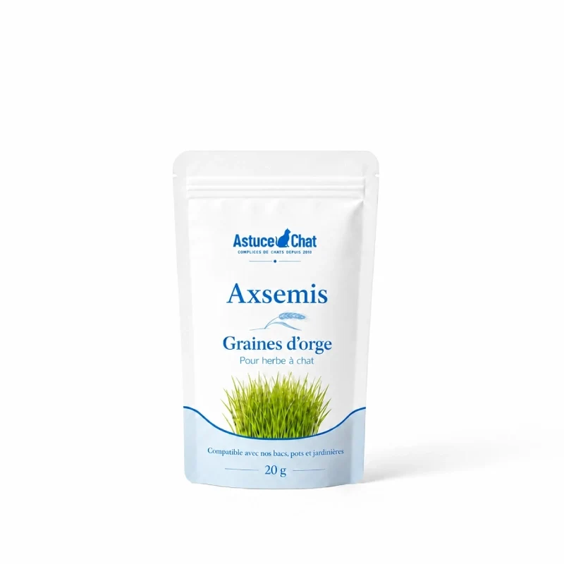 Graine herbe a chat › Axsemis