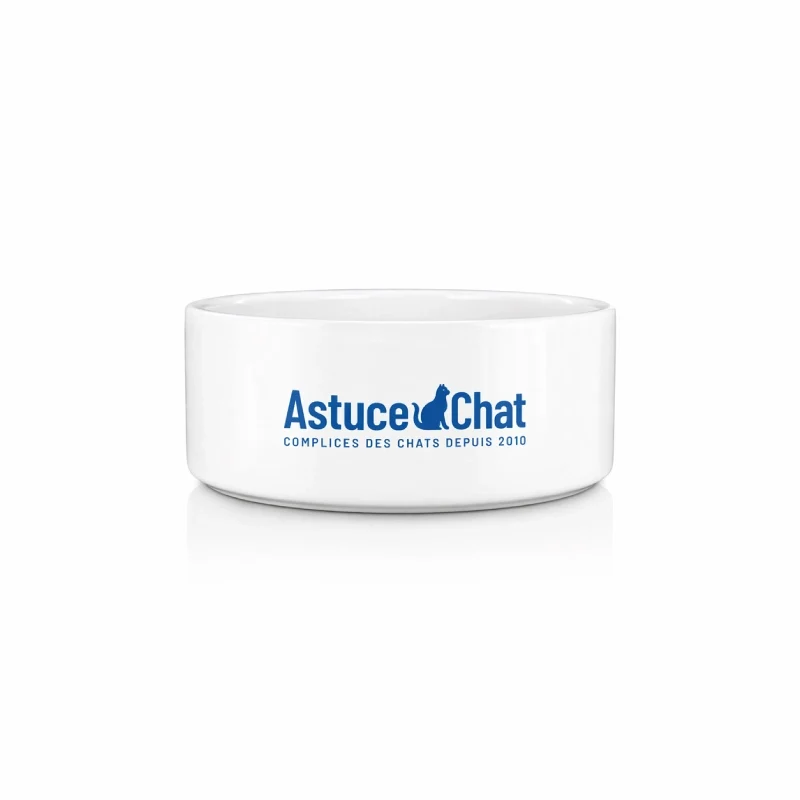 Gamelle en ceramique pour chaton › Gadix, par AstuceChat