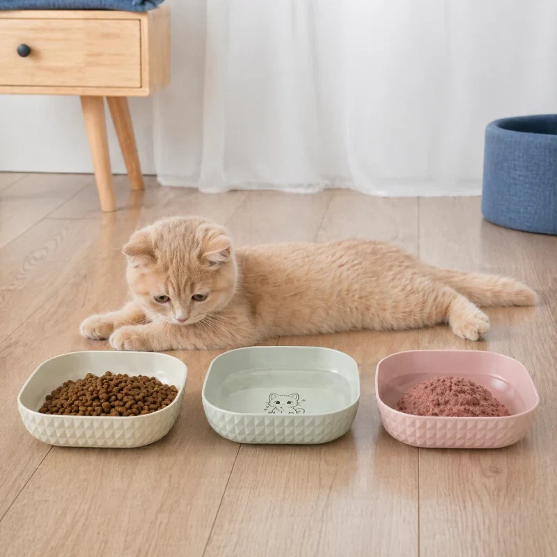 Gamelle chaton lot de 6 › Gacubi