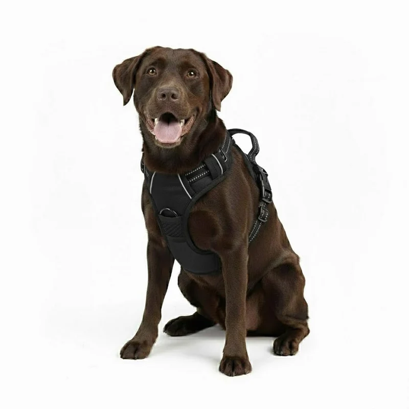 Harnais Gavpepy anti-tirage pour chien avec poignée – Taille Large, Noir