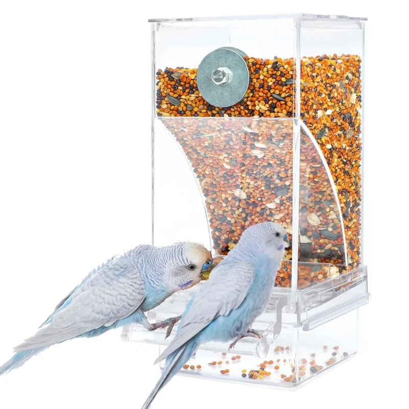 FONTSATTY - Distributeur automatique d'alimentation pour oiseaux sans dégâts – Acrylique clair