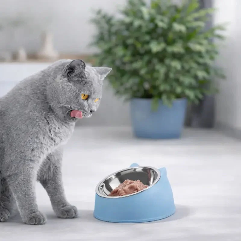 Gamelle chat inclinée › Gavéon